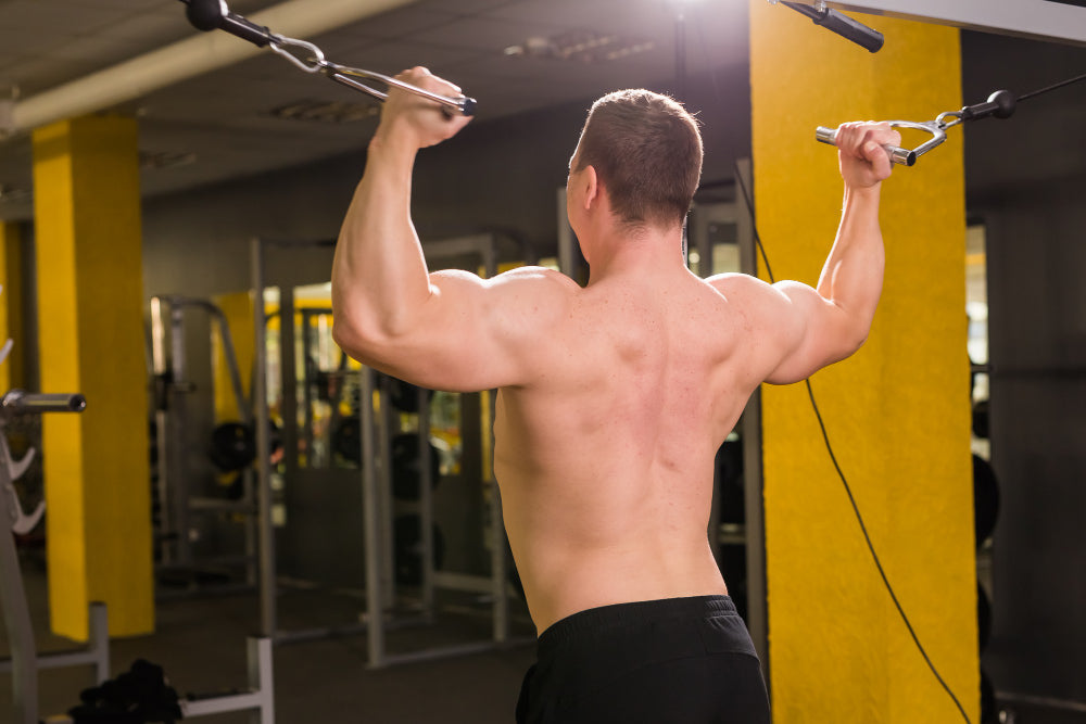 Músculos profundos de la espalda ¿por qué es importante fortalecerlos?