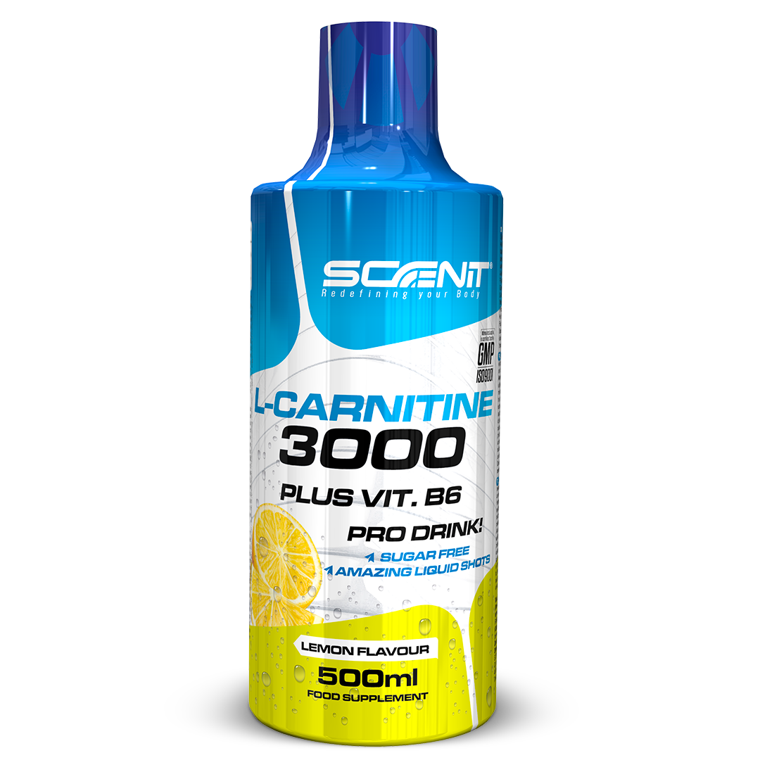 L-Carnitine 3000 + Vitamina B6 - 500 ml - 5 increíbles sabores - Scenit Nutrition