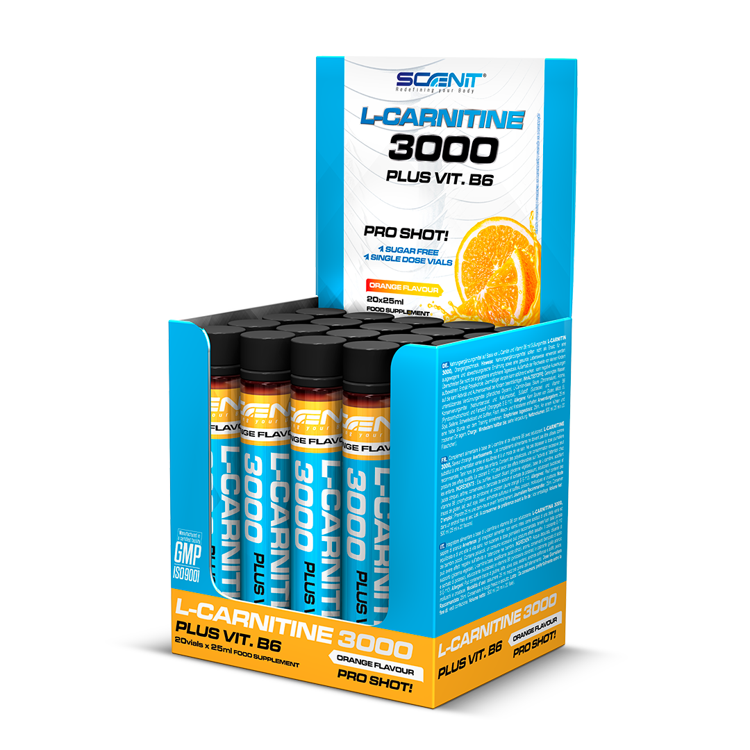 L-Carnitine 3000 + Vitamina B6 - 20 viales x 25 ml - 2 sabores increíbles - Scenit Nutrition