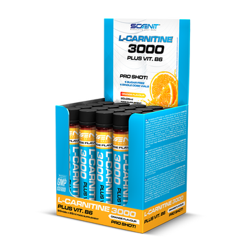 L-Carnitine 3000 + Vitamina B6 - 20 viales x 25 ml - 2 sabores increíbles - Scenit Nutrition