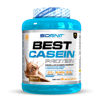 Best Casein Protein - Slow assimilation protein