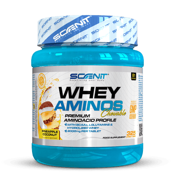 Whey Aminos - Protein Flavored Chewable Amino Acids