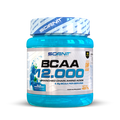 BCAA 12000 - 457 g - Aminoácidos ramificados en polvo, en 2 increibles sabores - Scenit Nutrition