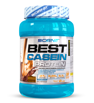 Best Casein Protein - Slow assimilation protein