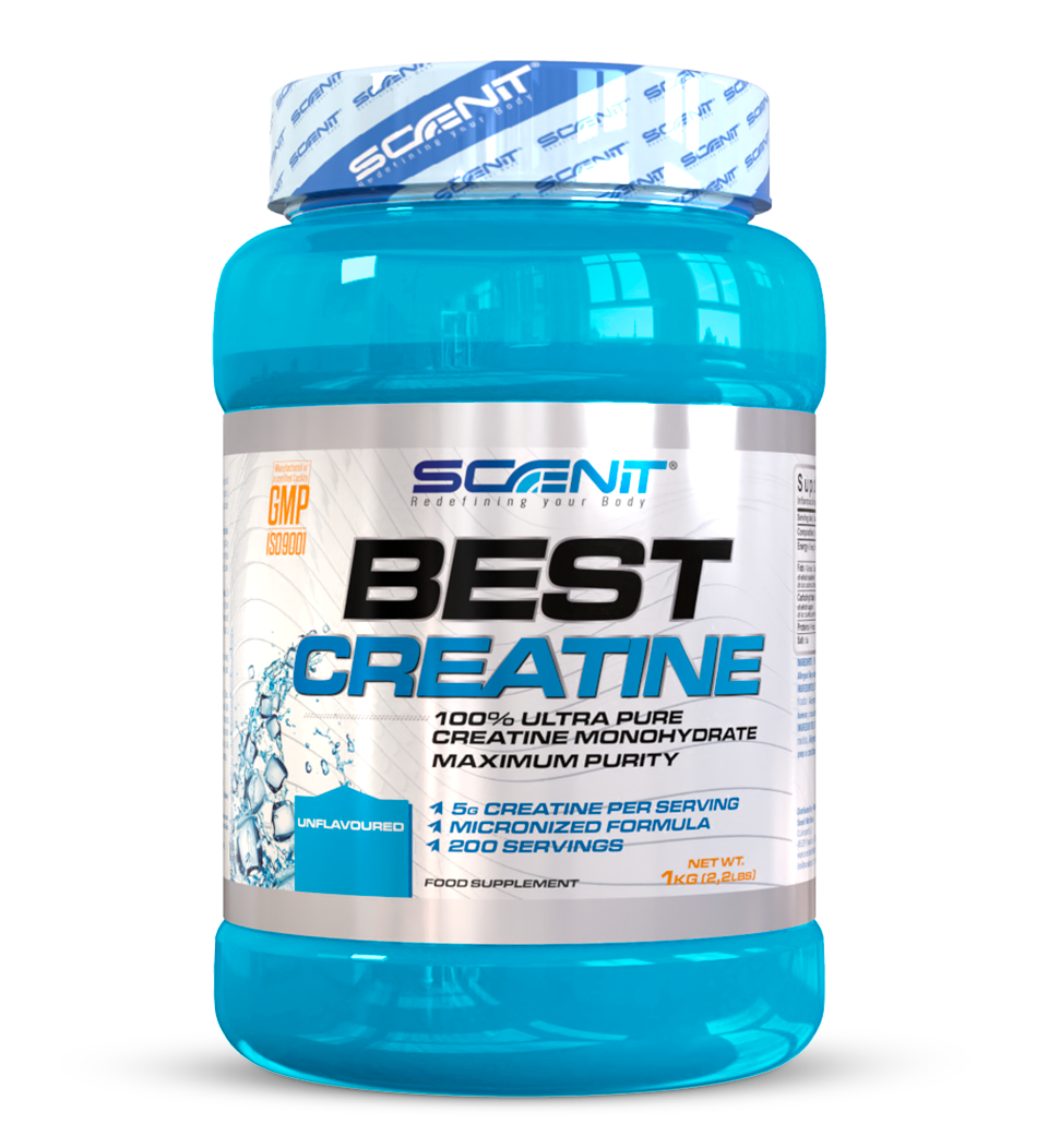 Micronized Creatine Monohydrate Powder, 150 Scoops