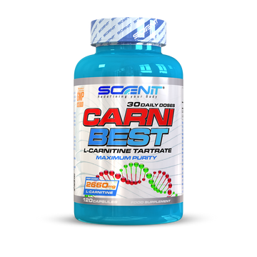 CARNI BEST - L-Carnitina (2660 mg) en cápsulas veganas - Scenit Nutrition