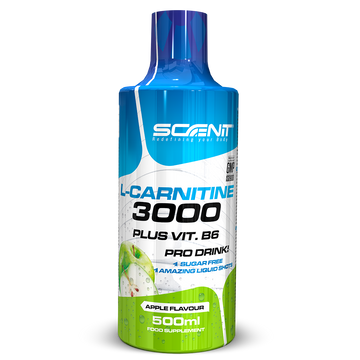 L-Carnitine 3000 + Vitamin B6 - 500 ml - 5 incredible flavors