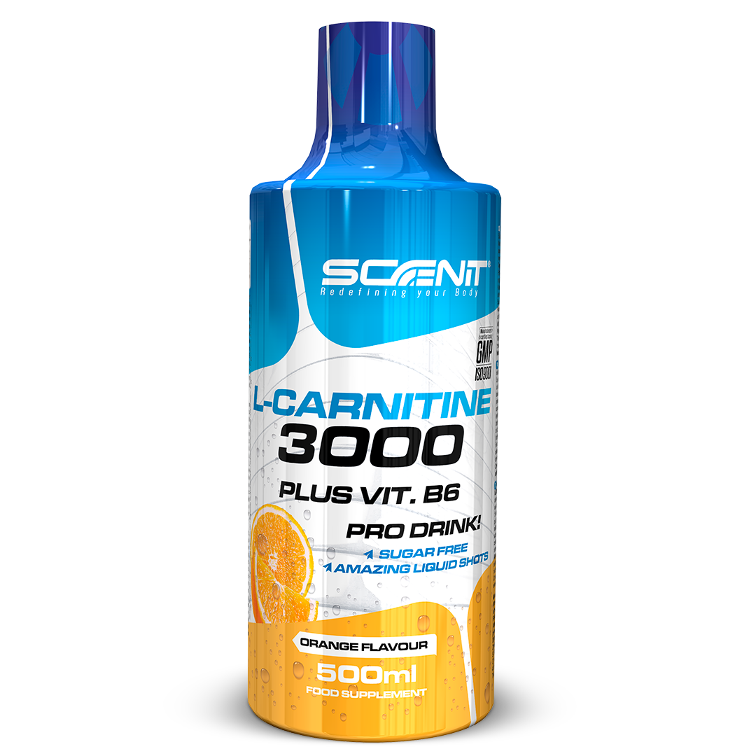 L-Carnitine 3000 + Vitamina B6 - 500 ml - 5 increíbles sabores - Scenit Nutrition