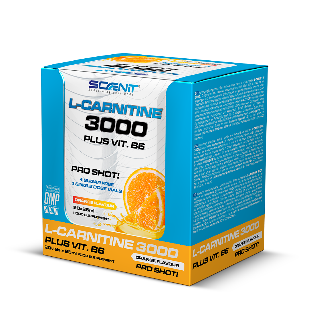 L-Carnitine 3000 + Vitamina B6 - 20 viales x 25 ml - 2 sabores increíbles - Scenit Nutrition