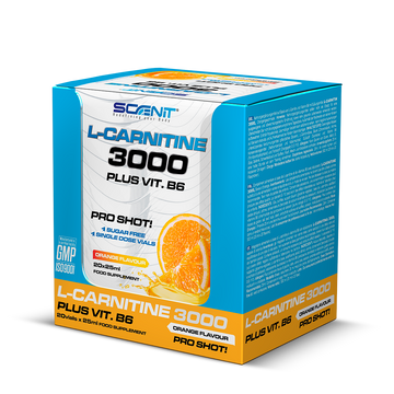 L-Carnitine 3000 + Vitamin B6 - 20 vials x 25 ml - 2 amazing flavors
