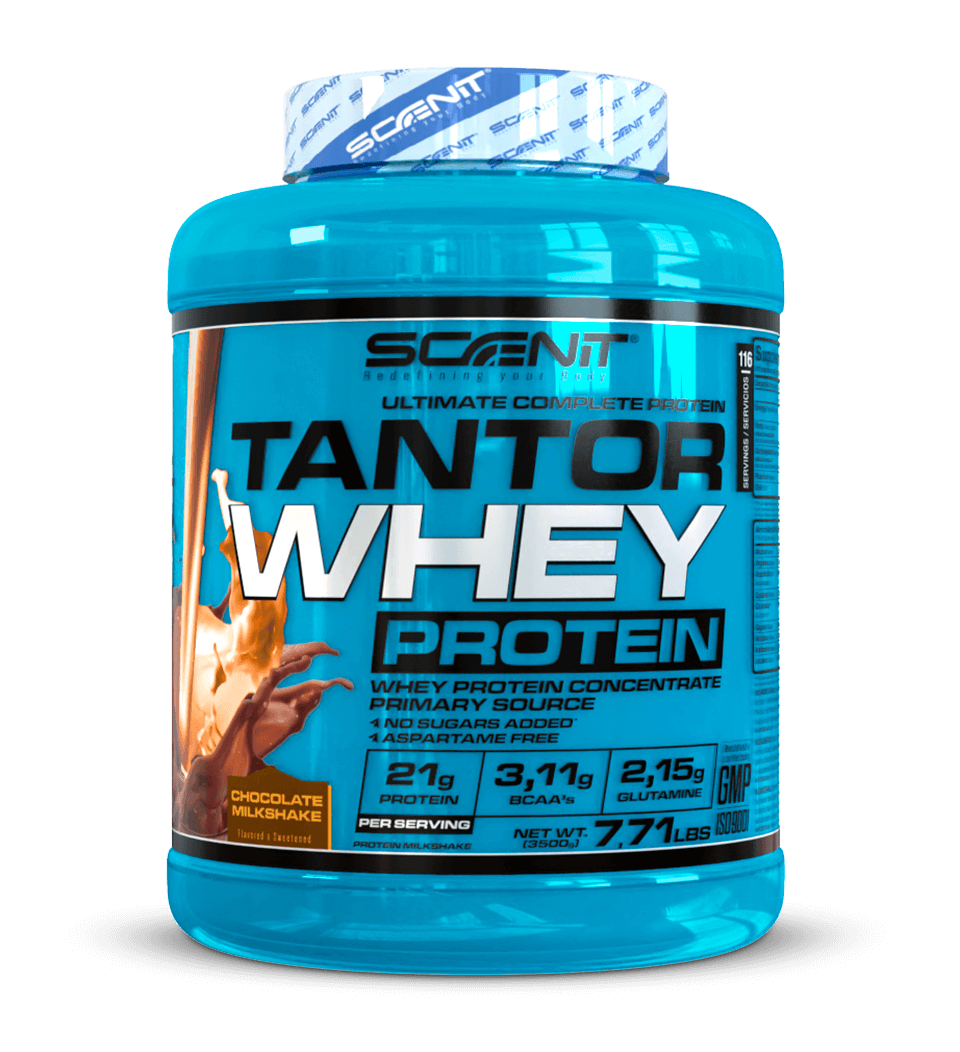 Tantor Whey Protein - Proteína whey reforzada con creatina y taurina